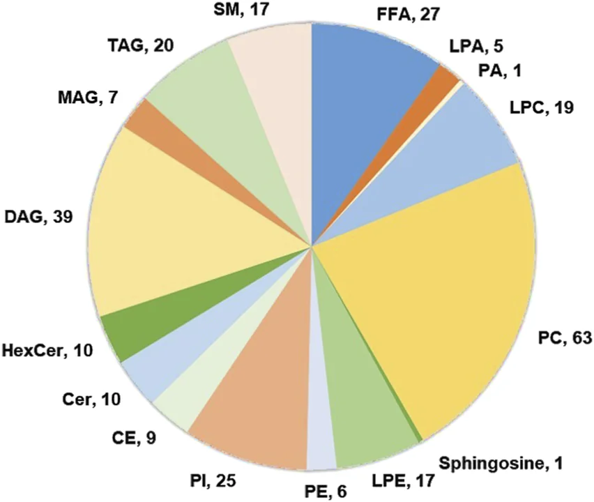 Research figure: lipid classes identified in adolescents.